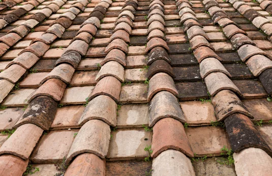 Artisan spécialisé en nettoyage de toiture Marseille Artisan spécialisé en nettoyage de toiture Marseille