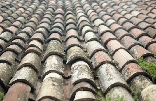 Démoussage toiture Marseille Démoussage toiture Marseille